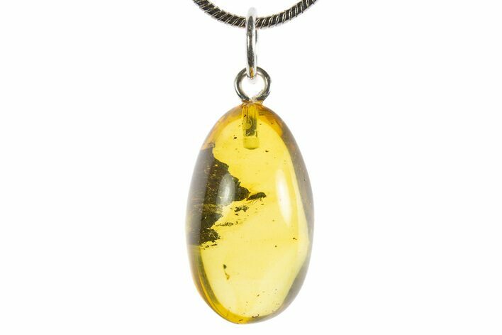 Polished Baltic Amber Pendant (Necklace) - Contains Fly! #339548